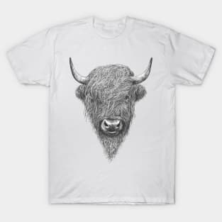 Highland Bull T-Shirt